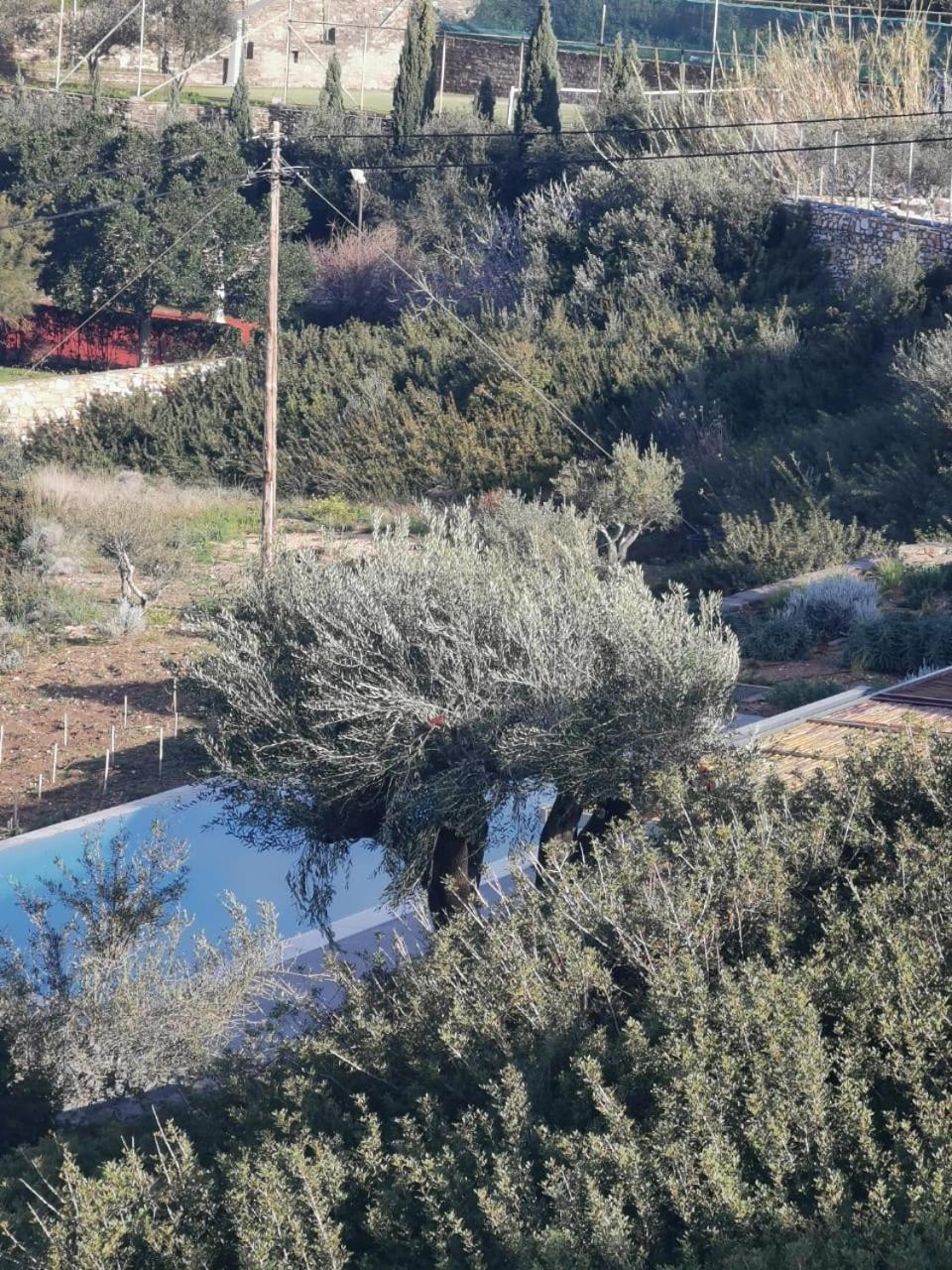 Olithos Villas Krotiri Екстериор снимка